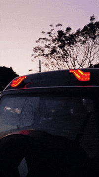 Trailer Lights GIF by AgriEyes