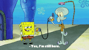 season 9 episode 13 GIF by SpongeBob SquarePants