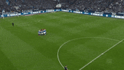 Football Soccer GIF by FC Schalke 04