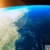 Ocean Wildlife GIF by BBC America