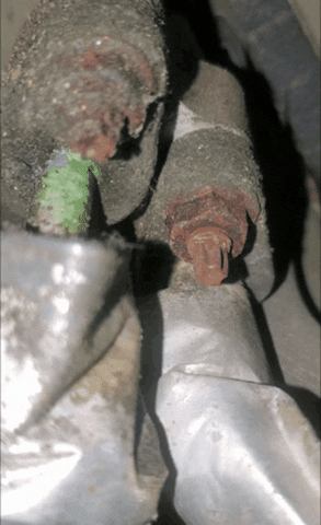Wabbit1 giphygifmaker giphygifmakermobile GIF