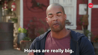 Horses Are Really Big