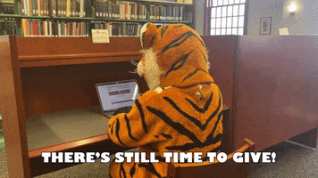 H-Sc GIF by Hampden-Sydney College