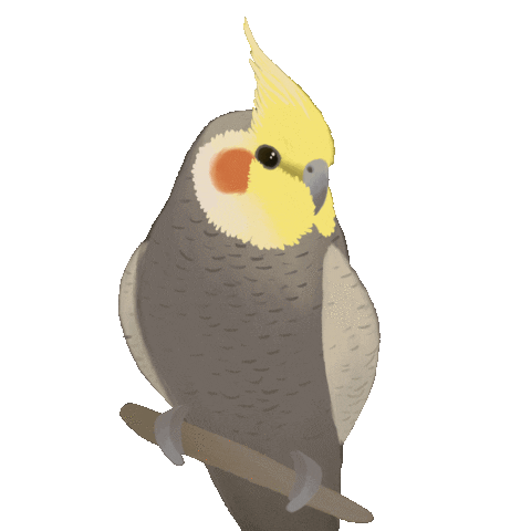 Rainbow Bird Sticker