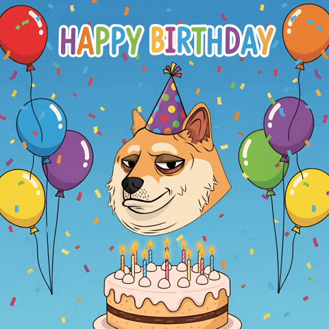 Happy Birthday Party GIF by Doge Pound