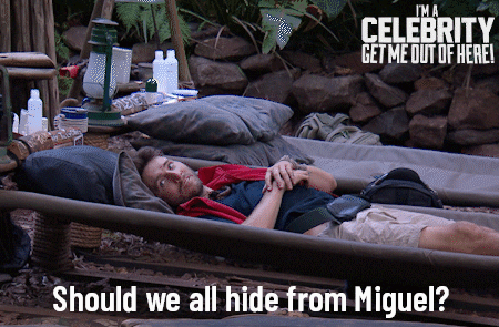 Imacelebrityau GIF by I'm A Celebrity... Get Me Out Of Here! Australia