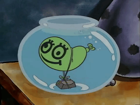 nicksplat GIF