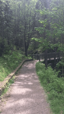 kristineosethgustavsen giphygifmaker GIF