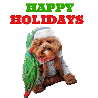 Christmas Winter Sticker