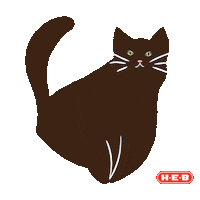 National Cat Day Sticker by H-E-B