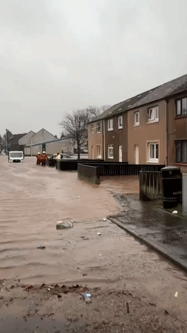 Dogs Carried Through Waist-High Floodwater as Storm Gerrit Lashes UK