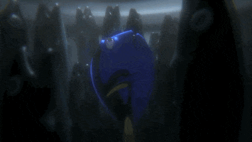 finding dory disney GIF by Disney/Pixar's Finding Dory