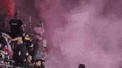 Soccer Preseason GIF by Inter Miami CF
