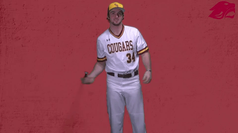 baseball GIF