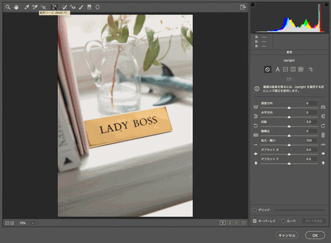 photoshopvip giphyupload GIF