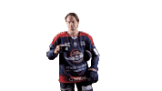 Ducs2026 Sticker by Les Ducs d'Angers