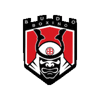 budoboxing boxing budo budoboxing Sticker