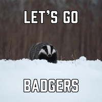 Let's Go Badgers