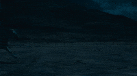 Run!