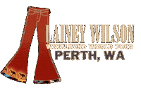 Country Music Tour Sticker by Lainey Wilson