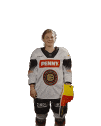 Germany Hockey Sticker by deb_teams
