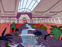 Season 2 Indoor Waterfall GIF by The Simpsons
