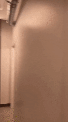 Happy Oh Yeah GIF by Pit Viper