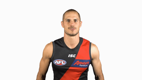 essendonfc giphyupload dons bombers essendon GIF