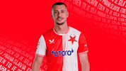 Football Celebration GIF by SK Slavia Praha