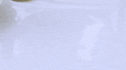 Ready To Eat Dinner GIF by BDHCollective