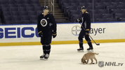 ice hockey dog GIF by NHL