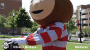 Ohio State Sport GIF by Ohio State Athletics