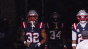 Football Nfl GIF by New England Patriots