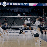 Happy Kentucky Wildcats GIF by NCAA Championships