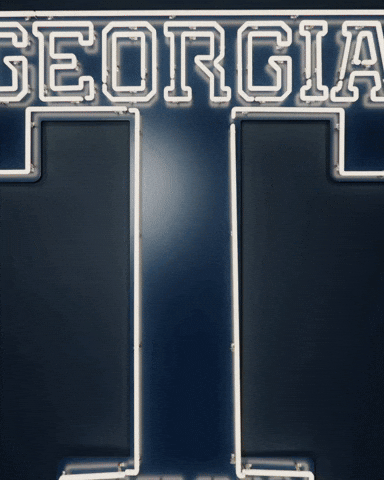 Georgia Tech Baseball GIF by Georgia Tech Yellow Jackets