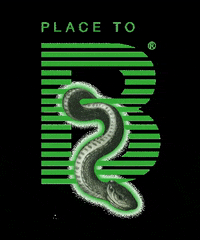 Placetob2020 GIF by BILD