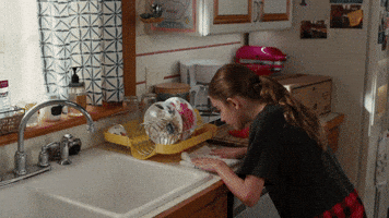 Ocd Americanhousewifeabc GIF by ABC Network