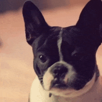 alyciamarie alyciamarie alycia marie allygif littleromy GIF