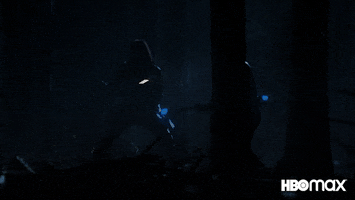 Red Hood Fight GIF by HBO Max