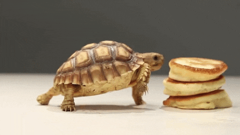 try pancakes GIF