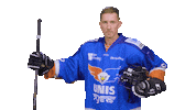 Goal Eagles Sticker by UNIS Flyers