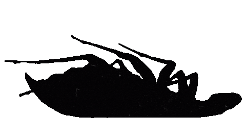 Rise Of The Roach Sticker by Papa Roach