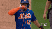 Major League Baseball Sport GIF by MLB