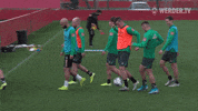 Training Mallorca GIF by SV Werder Bremen