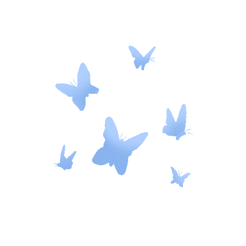 Butterfly Image Sticker