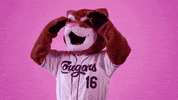 hotline bling dancing GIF by Kane County Cougars