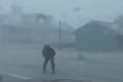 Jim Cantore Florida GIF by GIPHY News