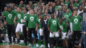 Sport Reaction GIF by Boston Celtics