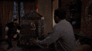 Oh My God Omg GIF by CBS