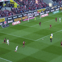 1 Fc Cologne Football GIF by 1. FC Köln